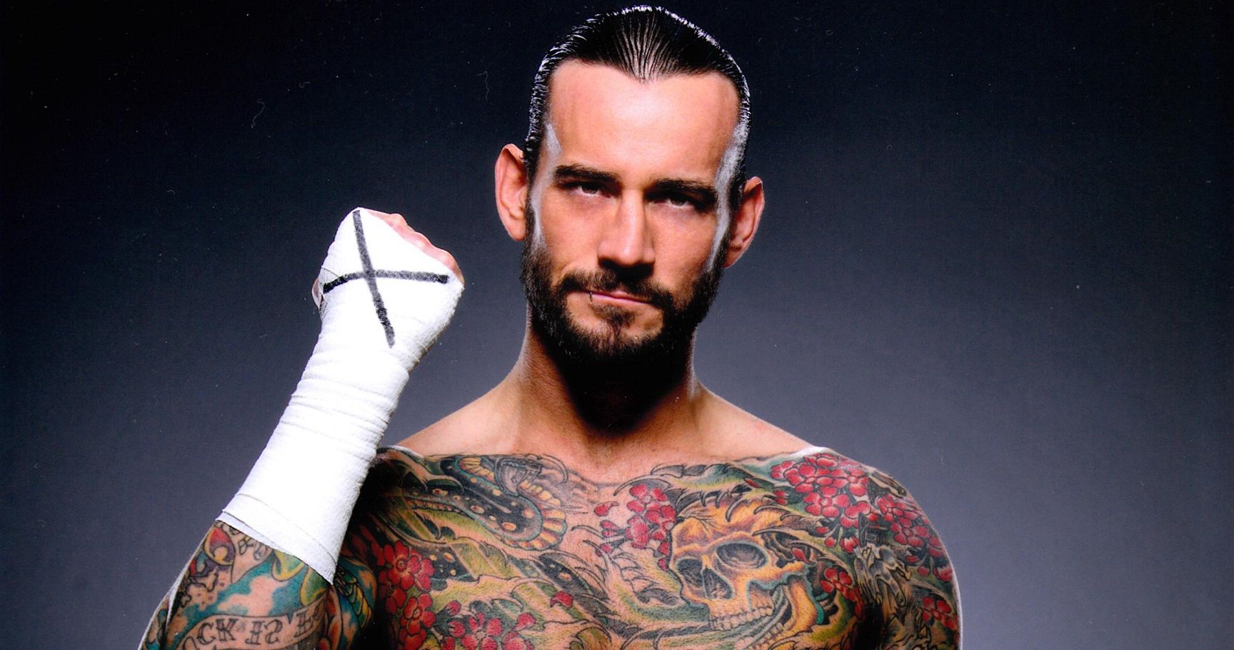 cm punk all in