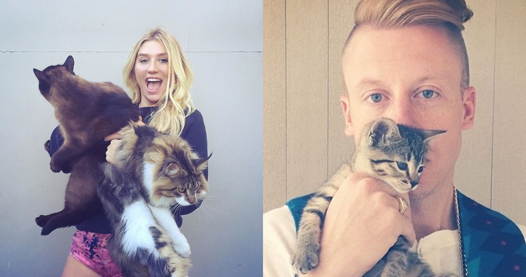 10 Celebs Who Are Obsessed With Cats | TheRichest