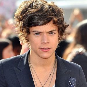 Harry Styles Net Worth Therichest